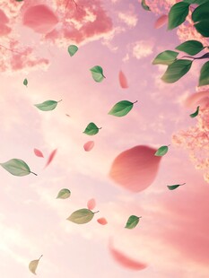 浪漫飘落的花叶梦幻场景