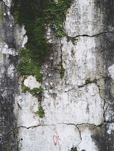 斑驳老墙与生长的苔藓