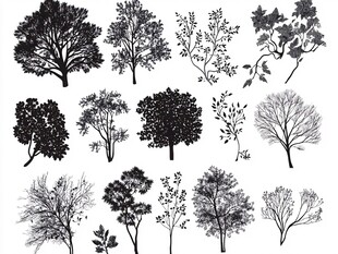 多样树木剪影素材集合
