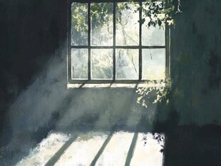 透过窗户的斑驳阳光