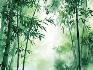 清幽竹林风景图
