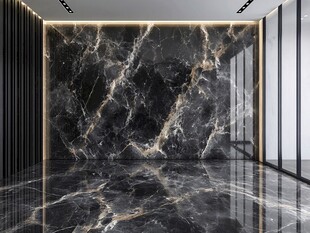 奢华黑大理石室内墙面设计