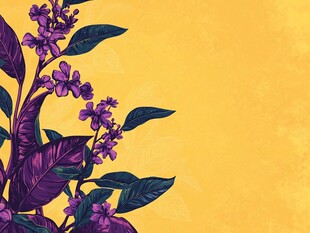 紫色花卉装点黄色背景