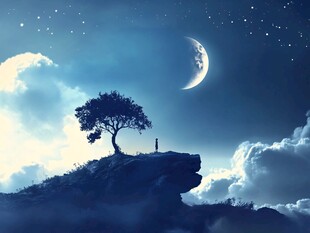 月夜孤影 悬崖边的静谧时刻