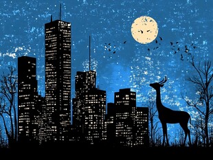 月夜下的城市与优雅小鹿