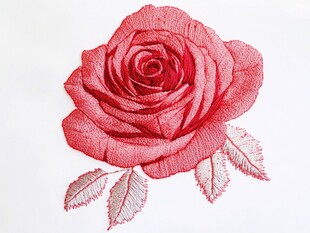 红色刺绣玫瑰精美图案
