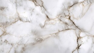 优雅白色大理石纹理