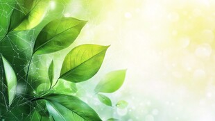 清新绿叶背景图