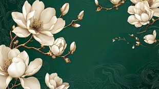 玉兰花绽于墨绿中式背景