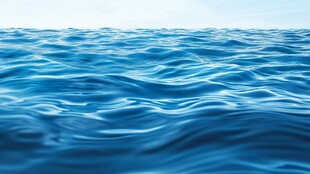 蔚蓝海面的灵动波纹