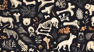 动物骨骼植物暗黑风插画