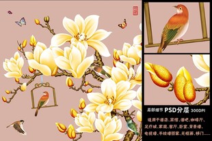 玉兰花鸟