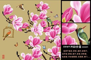 玉兰花鸟