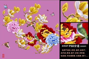 玉兰花鸟