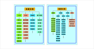 虫害分类病害分类