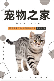 宠物海报