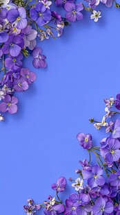 紫色花卉装点的蓝色背景