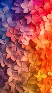 缤纷多彩花朵纹理背景图