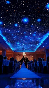 梦幻星空下的浪漫婚礼