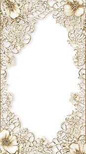 金色花卉蕾丝边框装饰图