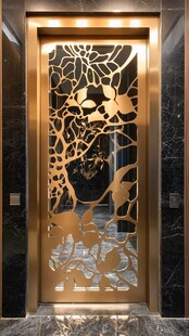 奢华金属雕花电梯门设计