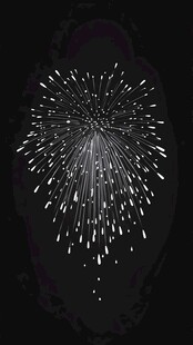 黑色背景中的璀璨烟花