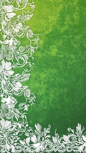 绿色背景上的白色花卉花边
