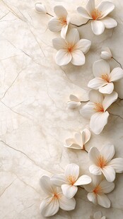 白色鸡蛋花铺于大理石背景