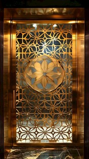 奢华金属雕花艺术装饰门