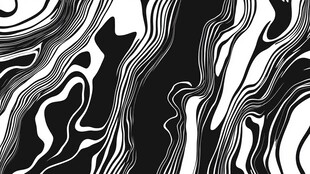 黑白流体抽象艺术纹理