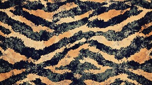 虎皮纹图案纹理素材