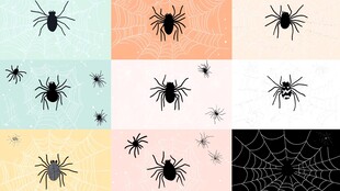 多样蜘蛛图案集合