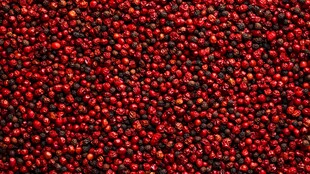 红亮饱满的花椒颗粒