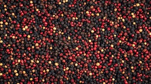 多彩胡椒粒特写