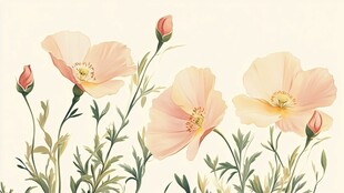 淡雅粉色花卉插画