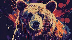 熊的炫彩艺术插画