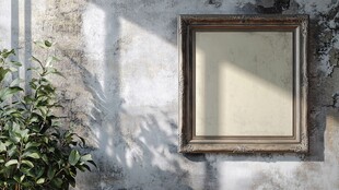 复古画框与绿植墙面景致