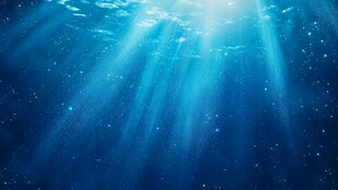 深海阳光透射梦幻景象