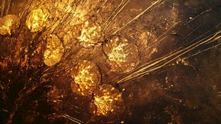 金色光斑纹理抽象背景图