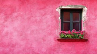 粉红墙面的复古窗台