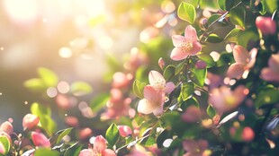 春日粉嫩繁花绽放美景