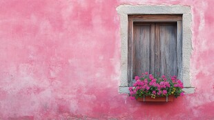 粉色墙面上的木质花窗