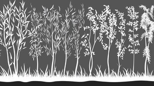 白色树木植物轮廓图案