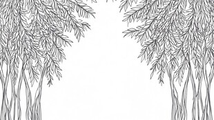 柳树林黑白线条插画