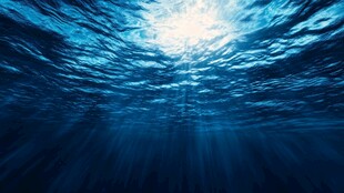 深海之下的璀璨阳光