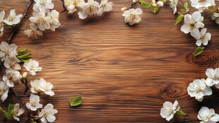 木质桌面绽放的白色春花