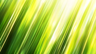 1 绿色动感光线背景图