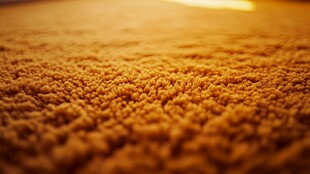 暖色调毛绒地毯特写