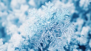 晶莹雪花 冬日的美丽结晶