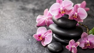 粉兰黑石 营造静谧禅意氛围